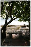 IMG_2540-web