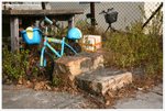 IMG_2544-web