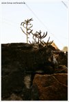 IMG_2551-web