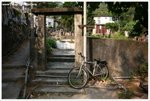IMG_2564-web