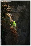 IMG_2571-web