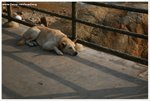 IMG_2572-web