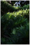 IMG_edit_00274