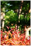 IMG_edit_00278