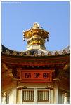 IMG_edit_00293