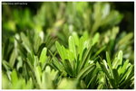 IMG_edit_00295