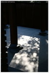IMG_edit_00299