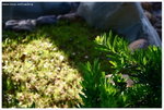 IMG_edit_00306