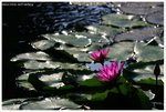 IMG_edit_00320