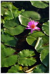 IMG_edit_00324