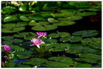 IMG_edit_00325