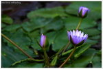 IMG_edit_00327