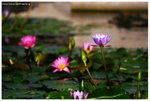 IMG_edit_00328