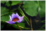 IMG_edit_00329