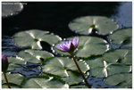 IMG_edit_00332