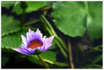 IMG_edit_0329-soft