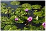 IMG_edit_0337-soft