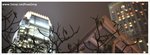 DSC_1324-617-web