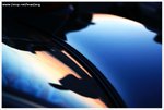 IMG_0624-web