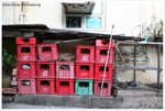 IMG_2325-web