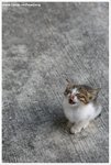 IMG_2349-web