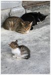 IMG_2350-web