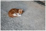 IMG_2352-web