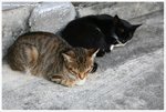 IMG_2353-web