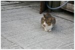 IMG_2354-web