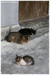 IMG_2358-web