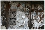 IMG_2369-web