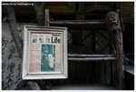 IMG_2370-web