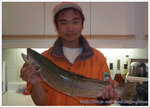 My First trout 2 copy