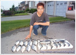 White Bass 1 copy