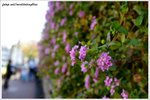 DSC01265