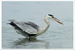 IMG_0299