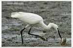 IMG_0419