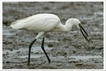 IMG_0421