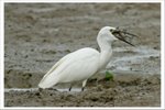 IMG_0437