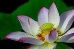 IMG_5126_1