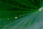 IMG_5128_1