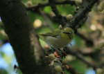 
IMG_7847_1