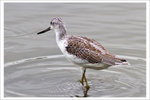 IMG_0011