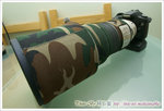 DSC02355 ����