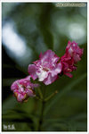 EXP00027-2 copy