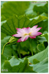 EXP00040-2 copy