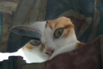 DSC01915