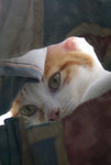 DSC01918