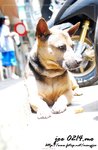 DSC_4090
