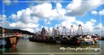 IMG_0958